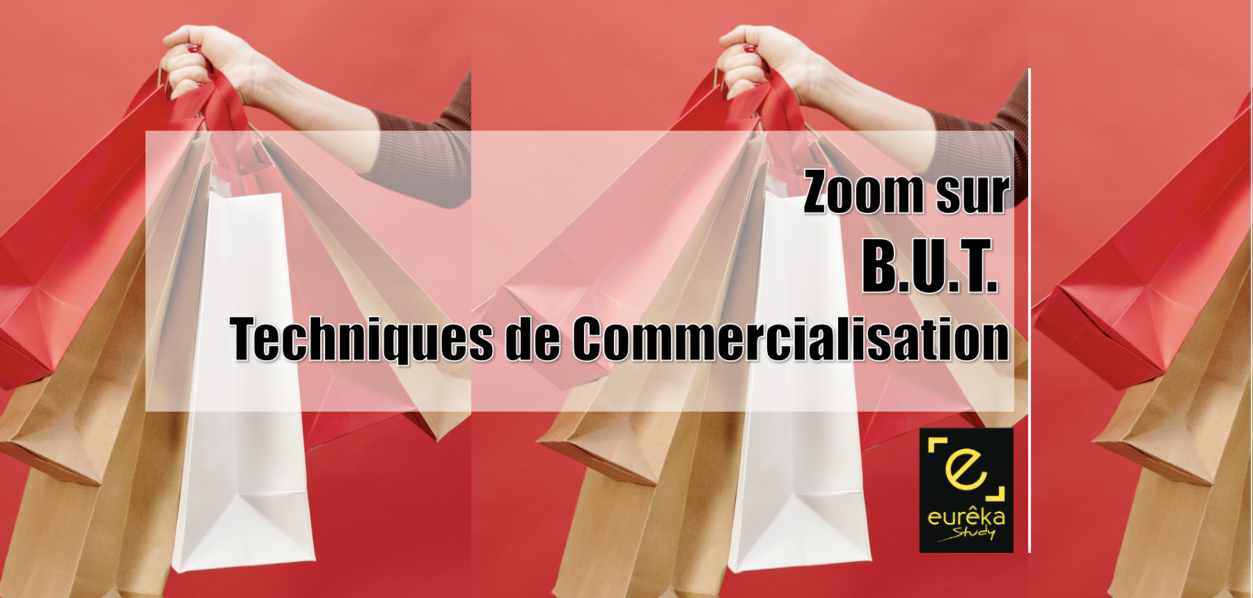 Tout Savoir Sur Le Nouveau BUT Techniques De Commercialisation | Eurêka ...