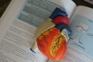coeur études de médecine