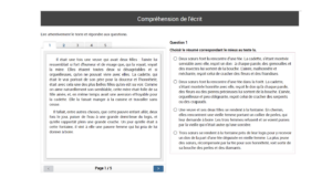 test français 6ième exemple compréhension de l'écrit.