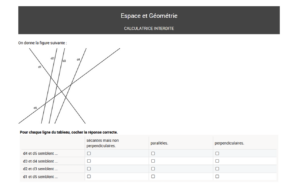 exemple de question en maths (espace et géométrie) test de positionnement de seconde