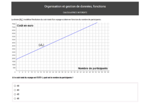 exemple question maths (fonction) test positionnement de seconde