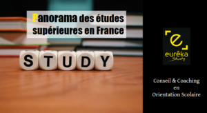 5 dés écrivant le mot anglais "study" qui signifie étudier pour illustrer un article sur les études supérieures en France