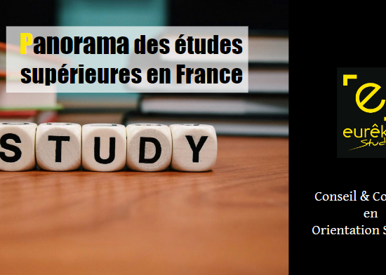 5 dés écrivant le mot anglais "study" qui signifie étudier pour illustrer un article sur les études supérieures en France