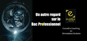 bac professionnel revaloriser