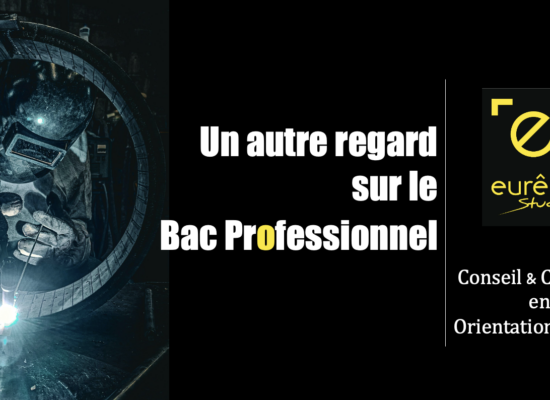 bac professionnel revaloriser