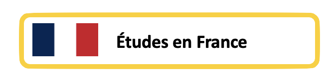 picto conseil études en france