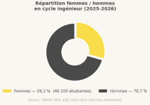Repartition Genre Ingénieur