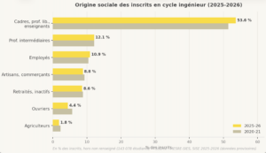 origine social Ingénieur